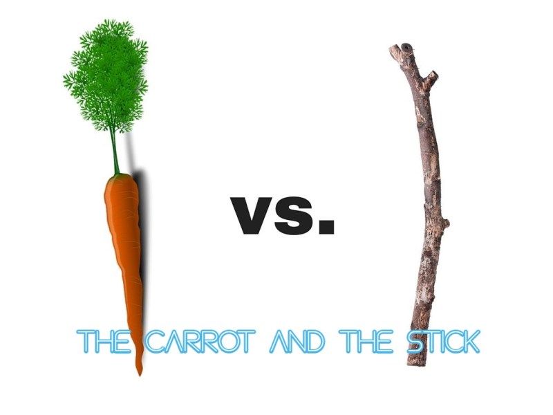 The Carrot and the&nbsp;Stick