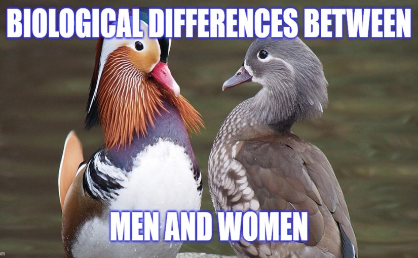 Sexual Dimorphism